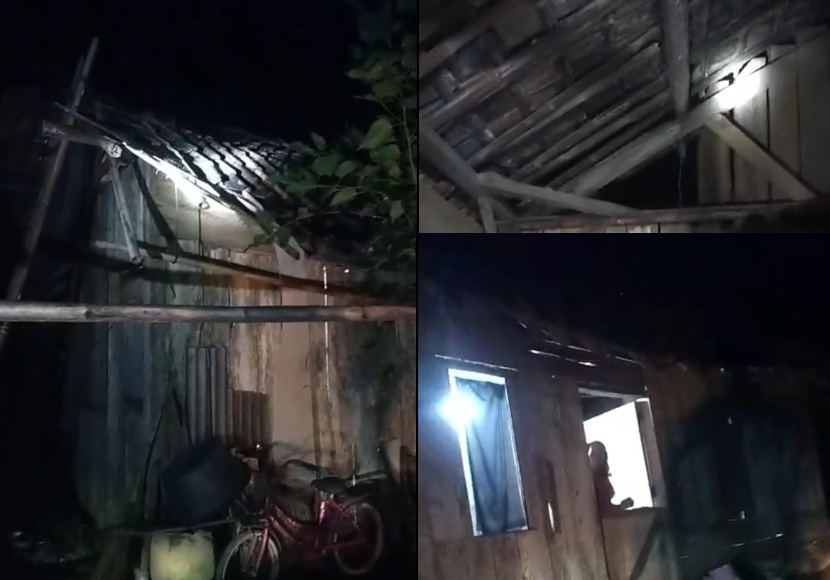 Angin Kencang Tumbangkan Pohon, Rusak Jaringan Listrik dan Atap Rumah di Bakauheni